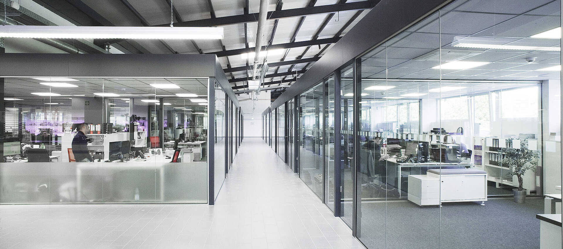 Büro, Industriehalle, Innenausbau, Design